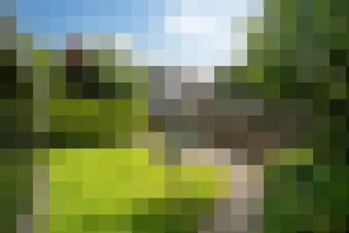 De Pream 13 Hallum thumbnail 38