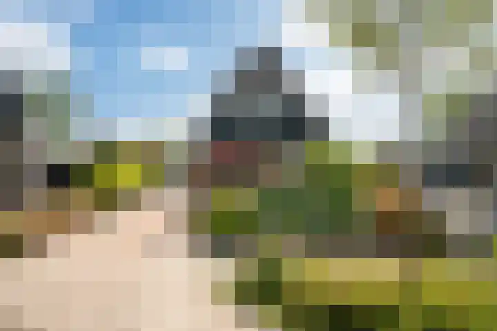 De Pream 13 Hallum thumbnail 41