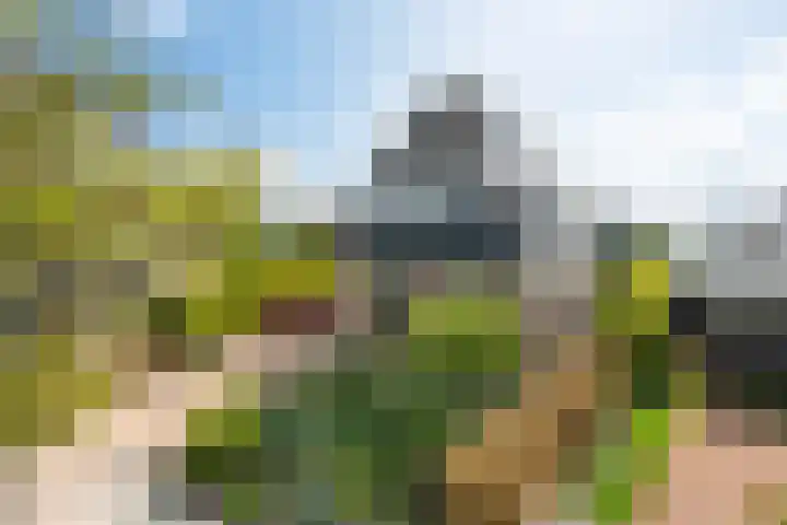 De Pream 13 Hallum thumbnail 43