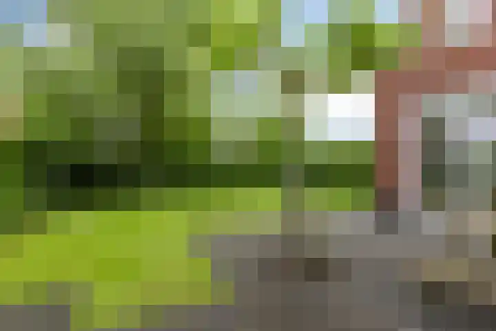 De Pream 2 Berltsum thumbnail 7