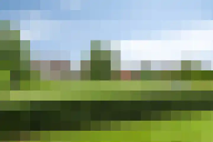 De Pream 2 Berltsum thumbnail 9