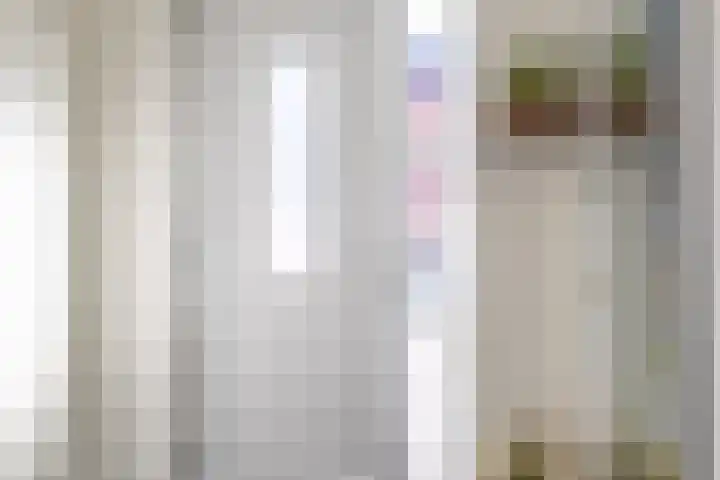 De Pream 36 Berltsum thumbnail 13