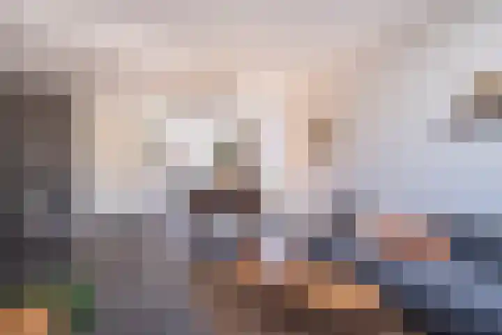 De Pream 36 Berltsum thumbnail 18