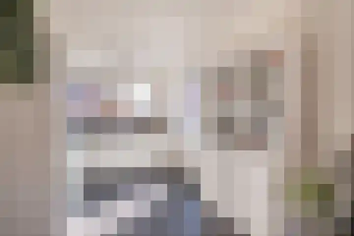 De Pream 36 Berltsum thumbnail 21