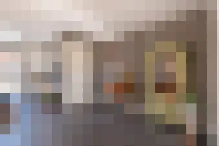 De Pream 36 Berltsum thumbnail 27