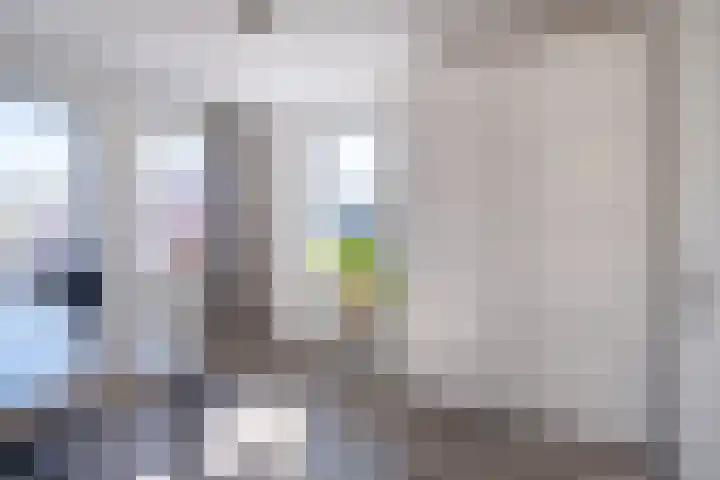 De Pream 36 Berltsum thumbnail 37