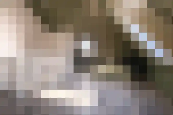 De Pream 36 Berltsum thumbnail 43