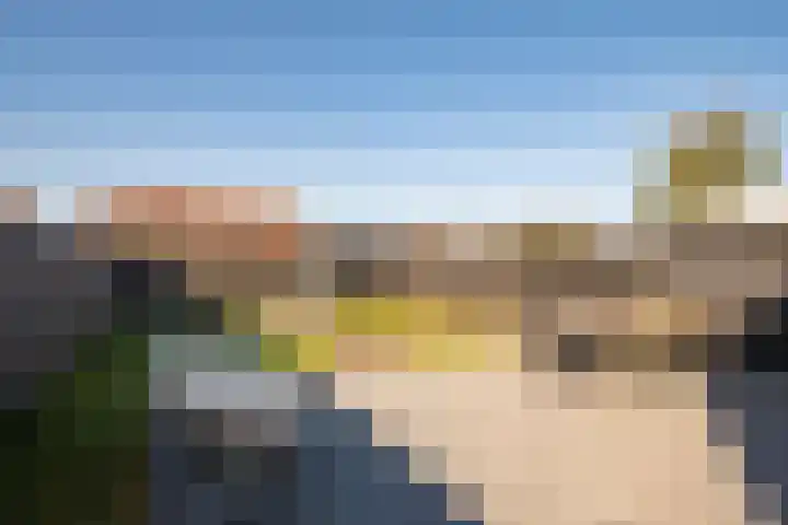 De Pream 36 Berltsum thumbnail 46