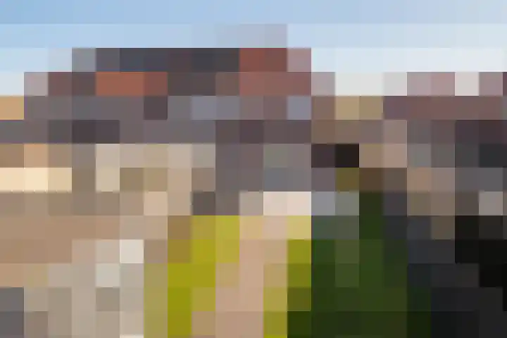 De Pream 36 Berltsum thumbnail 5