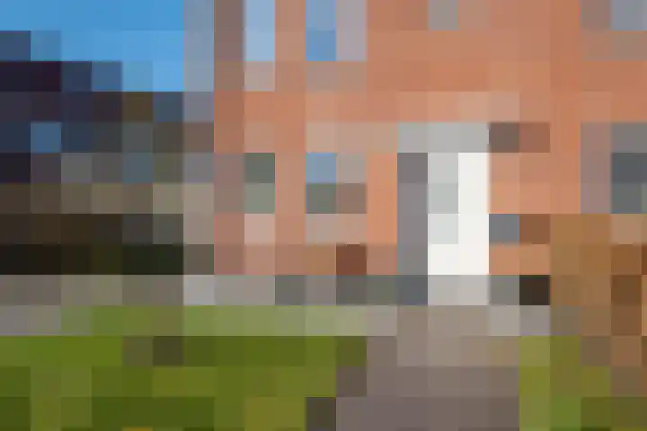 De Pream 36 Berltsum thumbnail 9