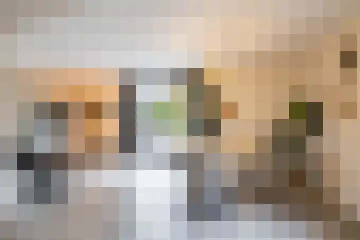 De Priorij 13 Harkstede thumbnail 10