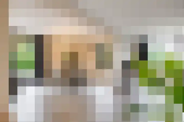 De Priorij 13 Harkstede thumbnail 20
