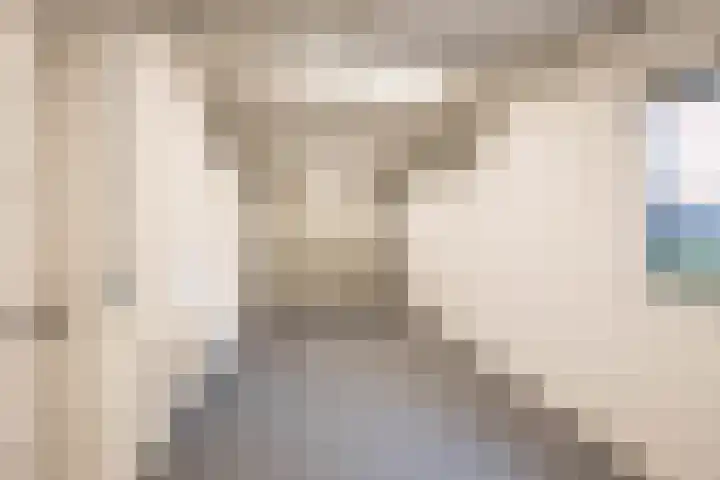 De Priorij 13 Harkstede thumbnail 22
