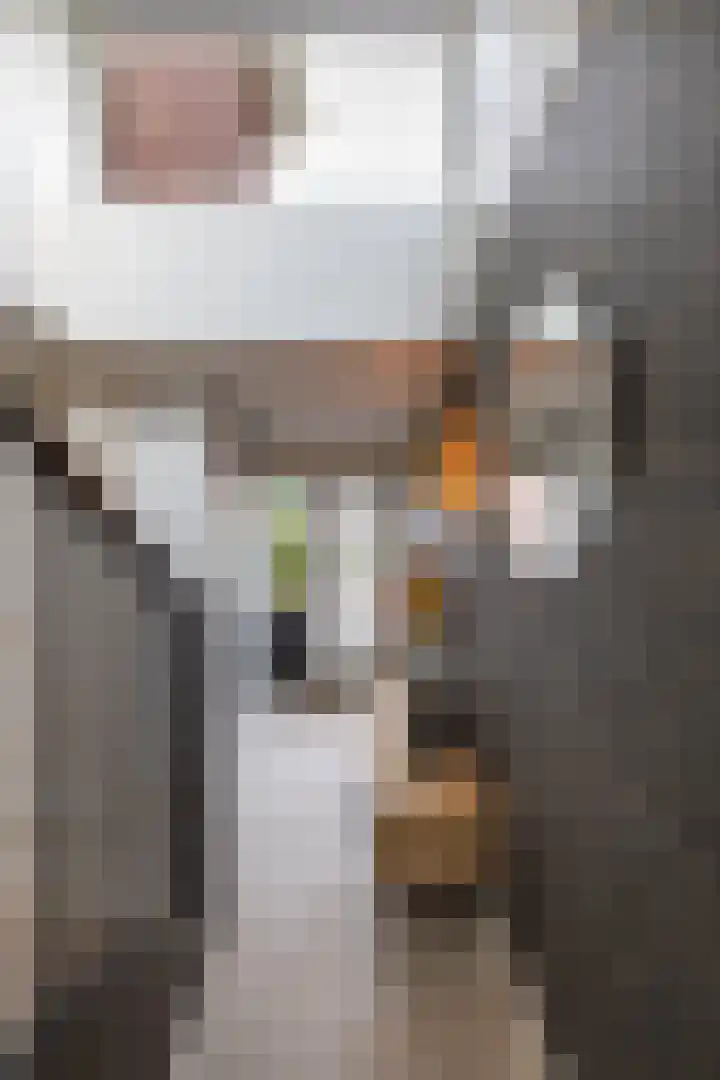 De Priorij 13 Harkstede thumbnail 24