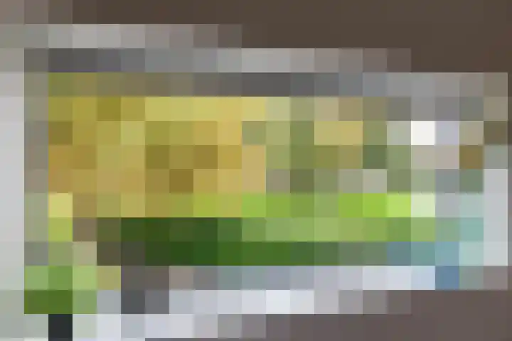 De Priorij 13 Harkstede thumbnail 32