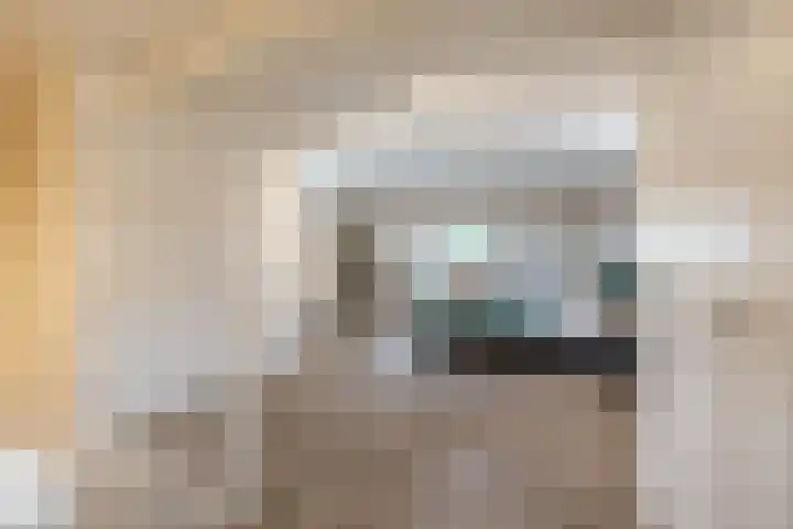 De Priorij 13 Harkstede thumbnail 39