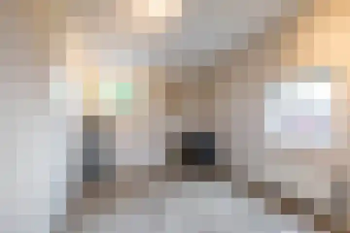 De Priorij 13 Harkstede thumbnail 43