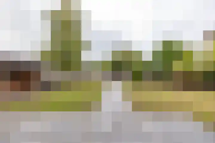 De Priorij 13 Harkstede thumbnail 45