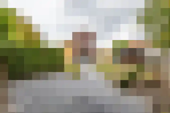 De Priorij 13 Harkstede thumbnail 46