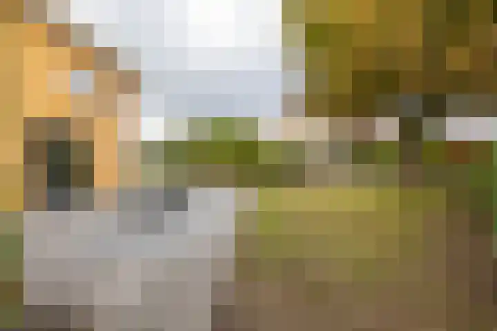 De Priorij 13 Harkstede thumbnail 48