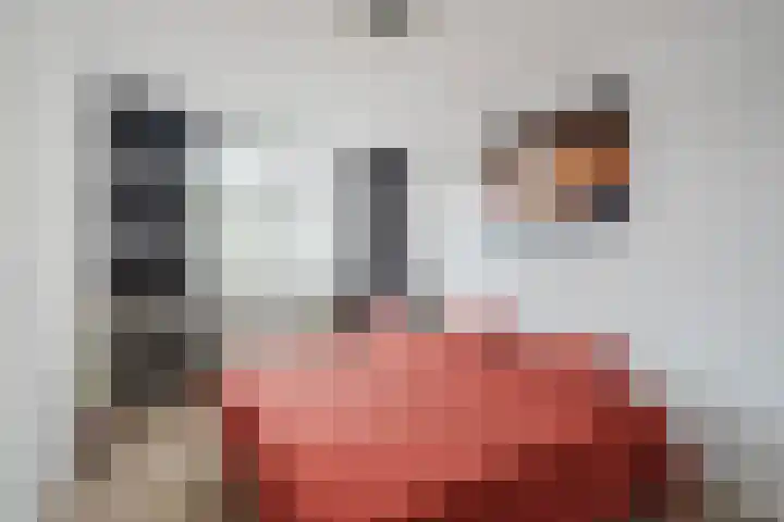 De Pruikenmaker 17 Veldhoven thumbnail 16