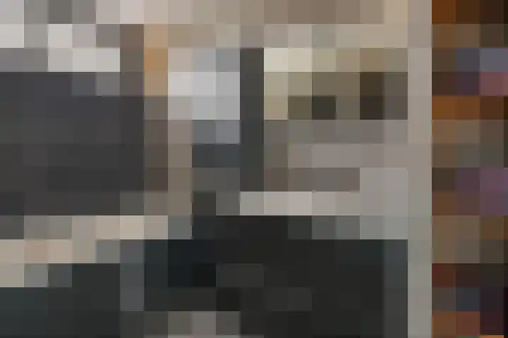 De Pruikenmaker 17 Veldhoven thumbnail 23