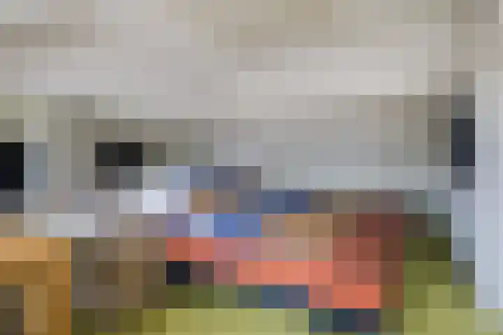 De Pruikenmaker 17 Veldhoven thumbnail 27