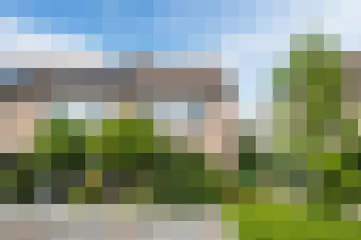 De Pruikenmaker 17 Veldhoven thumbnail 32