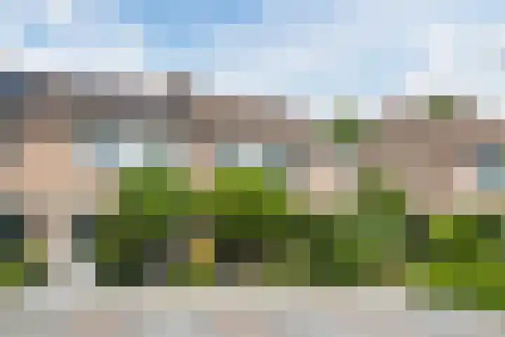De Pruikenmaker 17 Veldhoven thumbnail 33