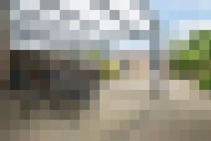 De Pruikenmaker 17 Veldhoven thumbnail 5