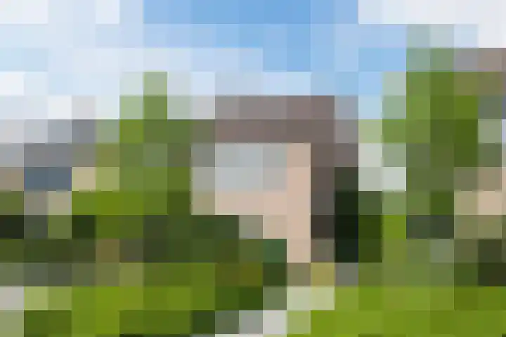 De Pruikenmaker 17 Veldhoven thumbnail 6