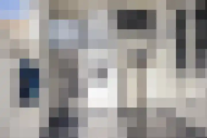 De Prunus 11 Dedemsvaart thumbnail 14