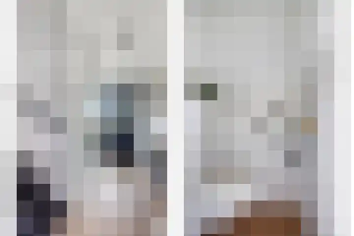 De Prunus 11 Dedemsvaart thumbnail 17