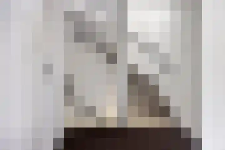 De Prunus 11 Dedemsvaart thumbnail 18