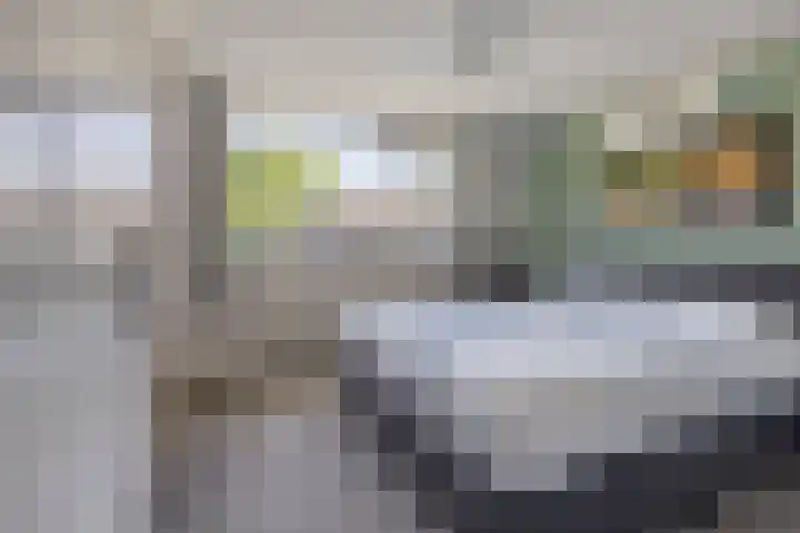 De Prunus 11 Dedemsvaart thumbnail 19