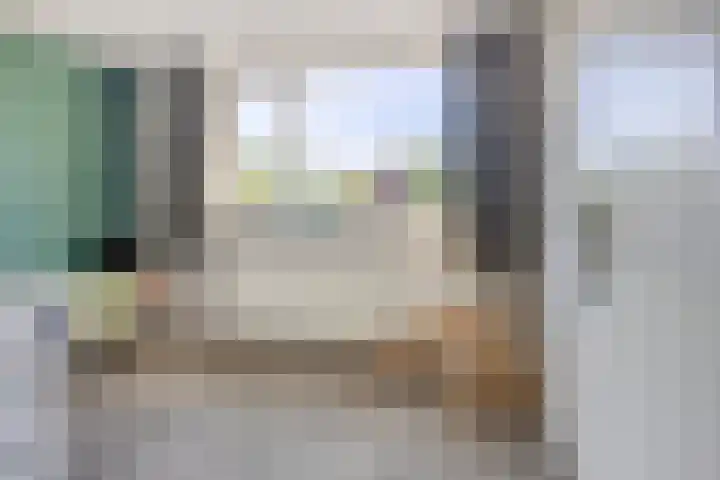 De Prunus 11 Dedemsvaart thumbnail 21