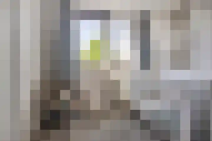 De Prunus 11 Dedemsvaart thumbnail 23