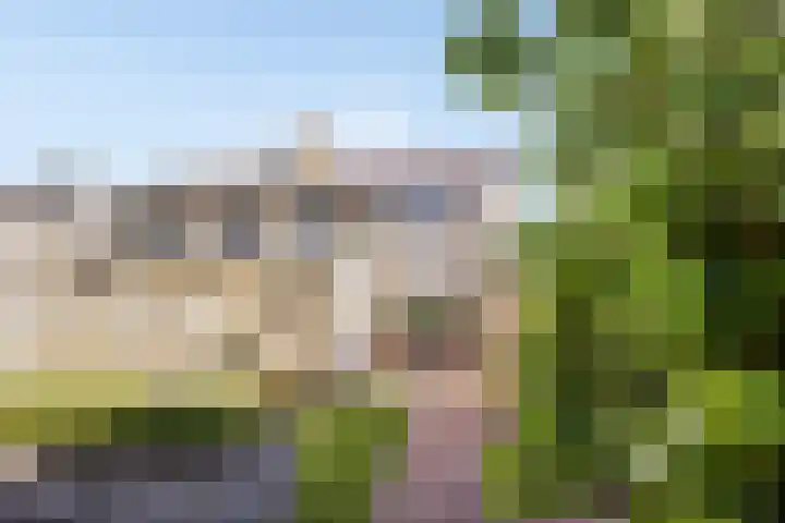 De Prunus 11 Dedemsvaart thumbnail 31