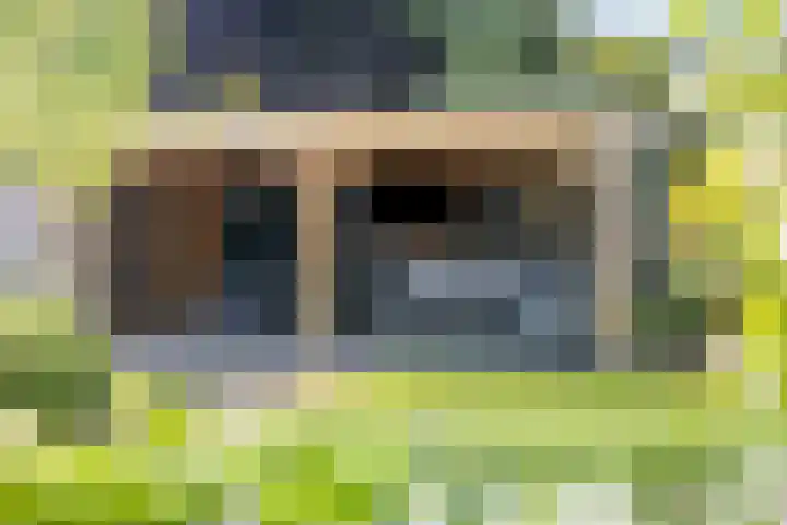 De Prunus 11 Dedemsvaart thumbnail 34