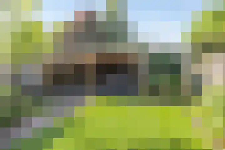 De Prunus 11 Dedemsvaart thumbnail 35