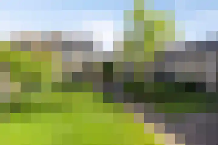 De Prunus 11 Dedemsvaart thumbnail 37