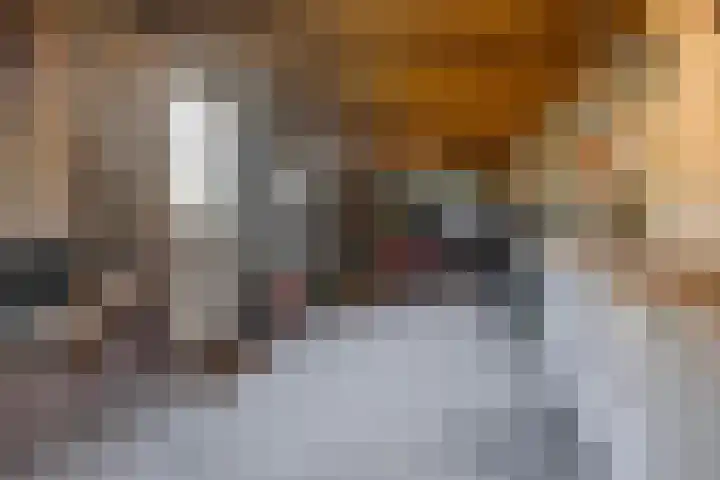 De Prunus 11 Dedemsvaart thumbnail 39