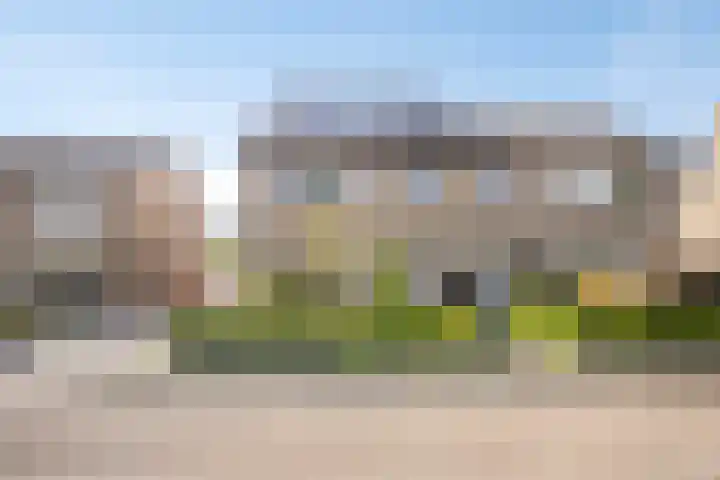De Prunus 11 Dedemsvaart thumbnail 4