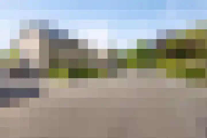 De Prunus 11 Dedemsvaart thumbnail 40