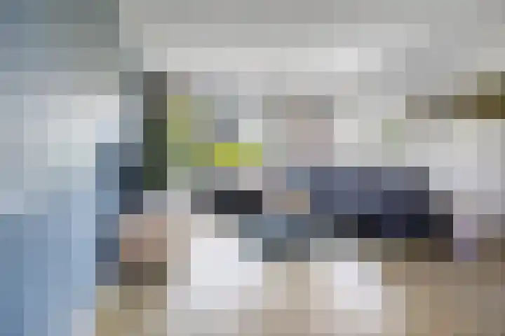 De Prunus 11 Dedemsvaart thumbnail 6
