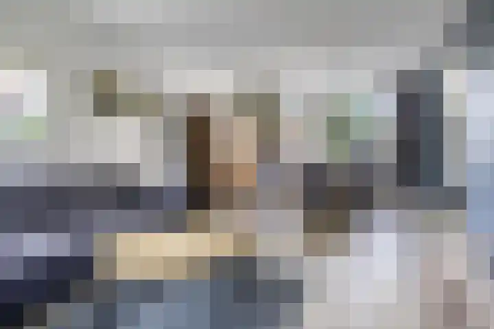 De Prunus 11 Dedemsvaart thumbnail 8