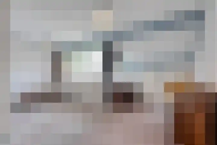 De Prunus 87 Dedemsvaart thumbnail 17