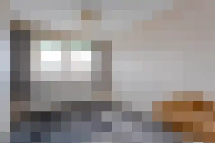 De Prunus 87 Dedemsvaart thumbnail 21