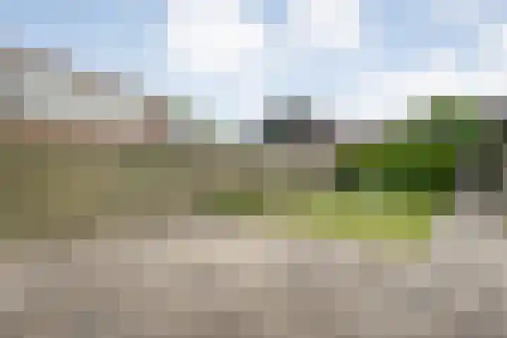 De Prunus 87 Dedemsvaart thumbnail 27