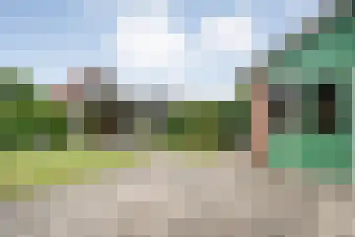 De Prunus 87 Dedemsvaart thumbnail 28